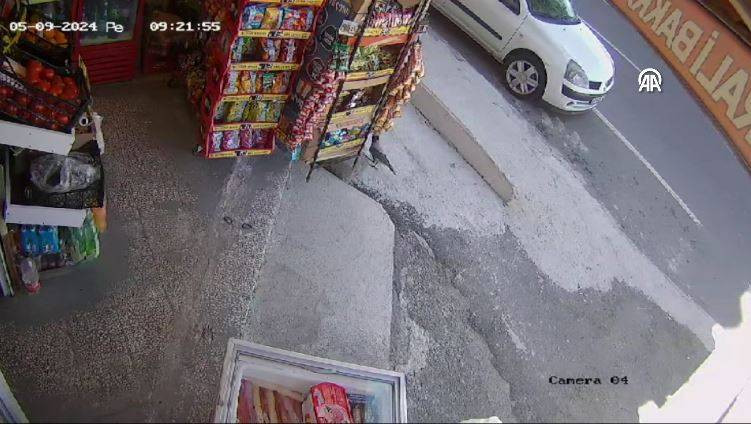 Bakkaldan cips çalan karga suçüstü yakalandı! Etrafı kolaçan etti paketi alıp kaçtı - Resim: 27